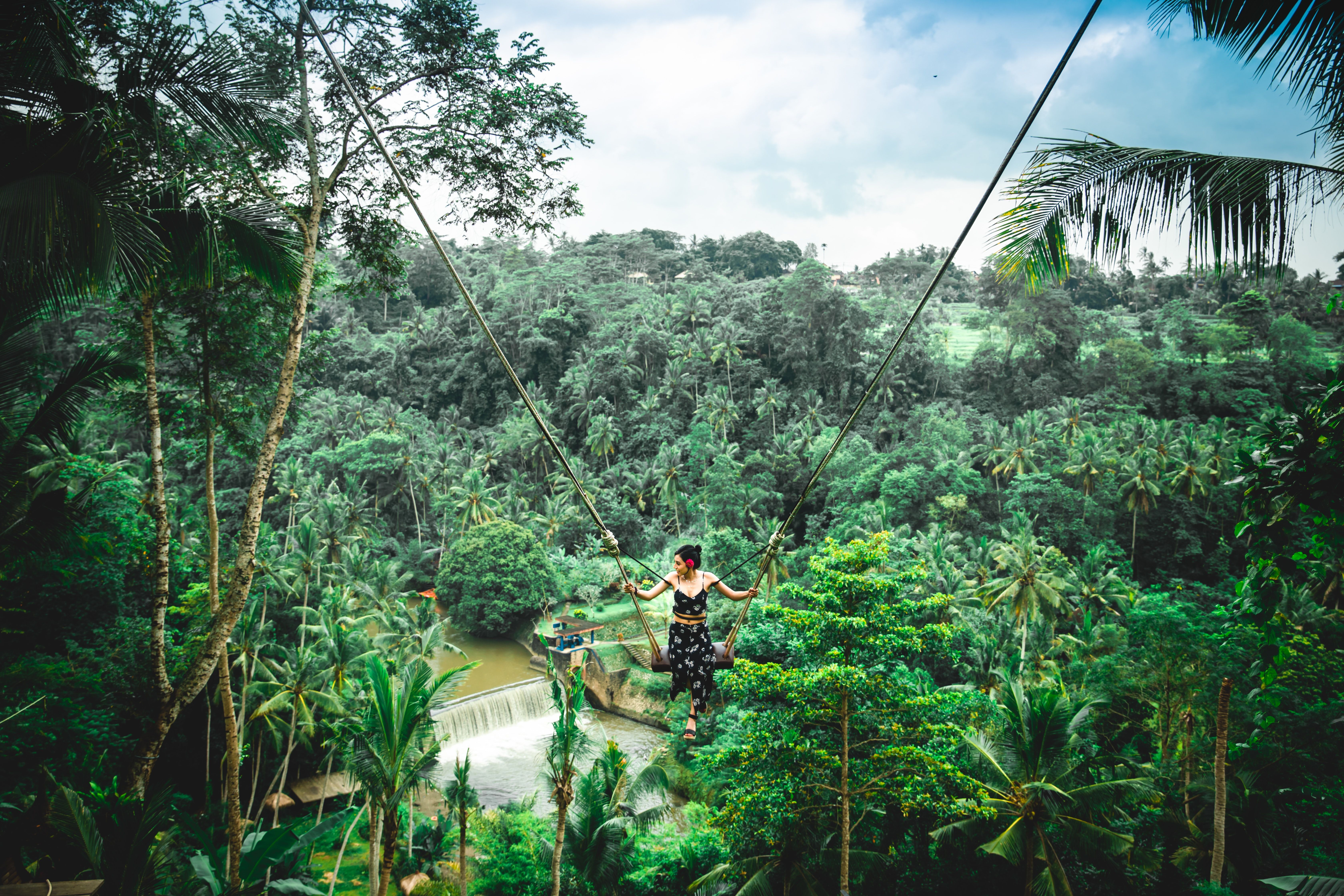 Standard Bali Swing