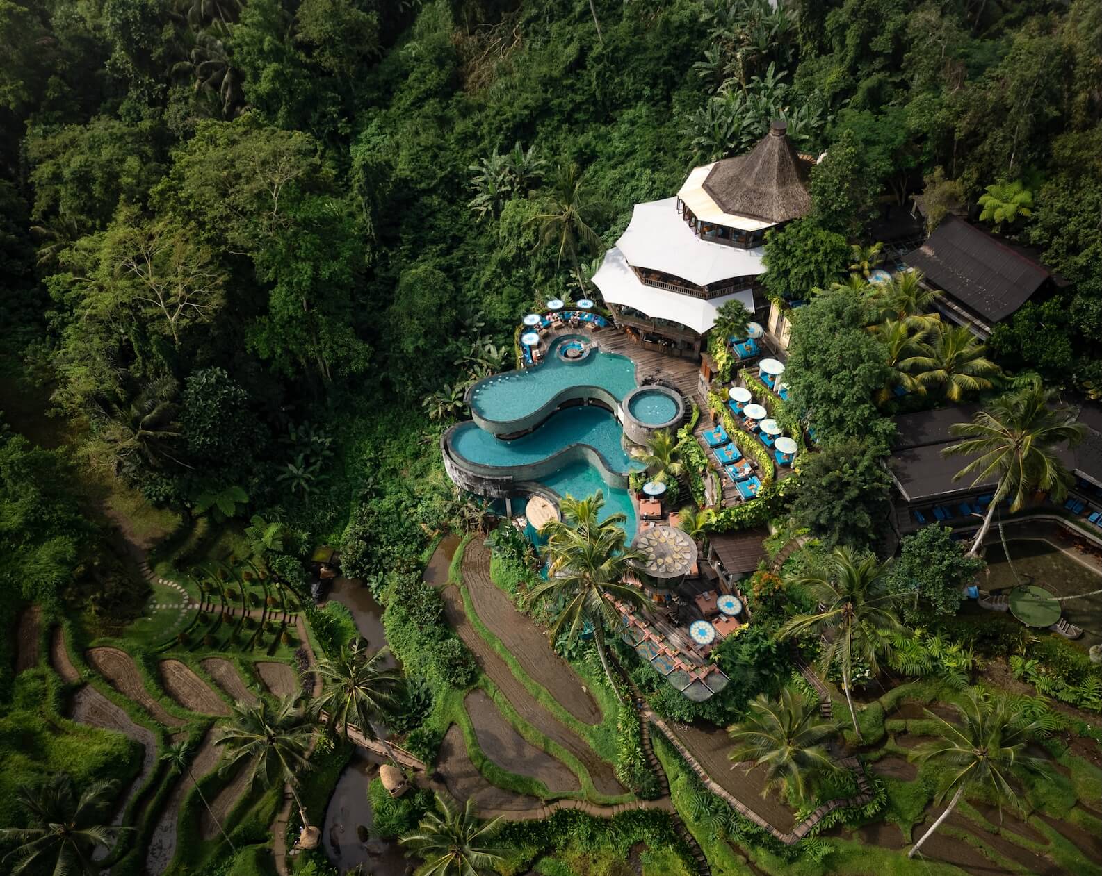 Cretya Jungle