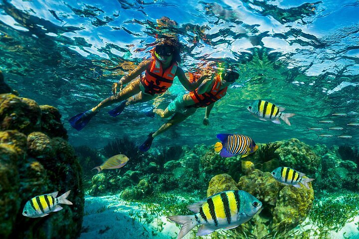 Bali Experience Tour